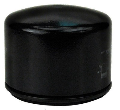 Oil Fuel Filter For DR Mower AT45230BEN