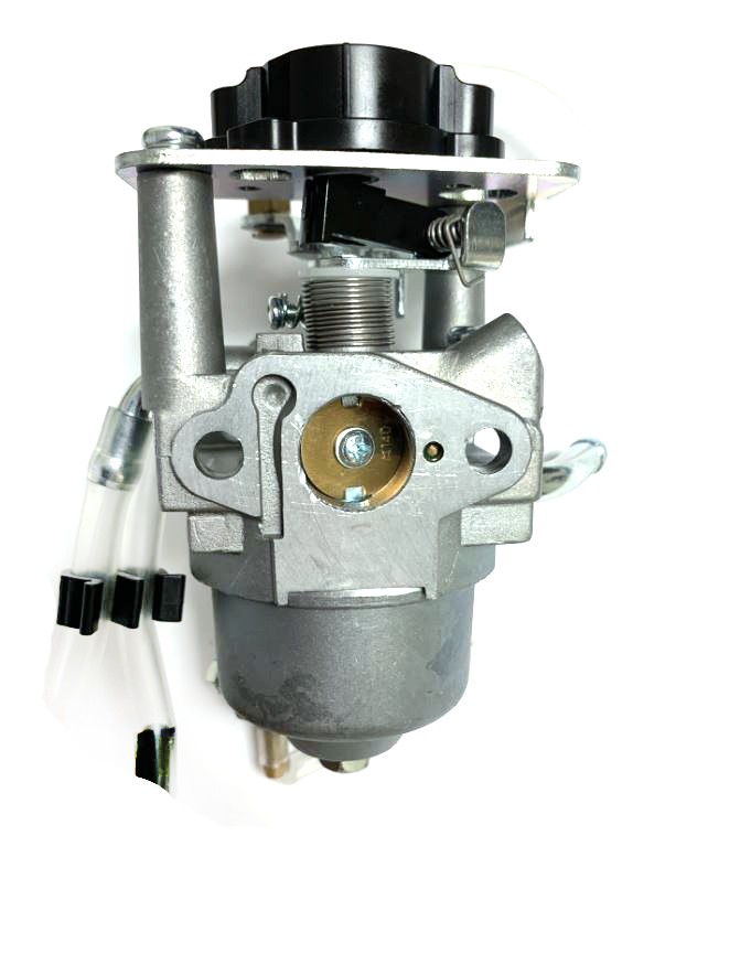 Carburetor Carb For Champion 100797894