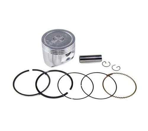 Cylinder Piston & Ring For Honda Part# 13101-ZF6-W00