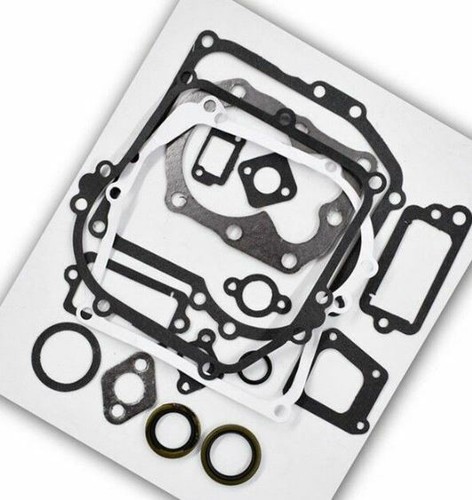 Engine Cylinder Gasket Kit For 158cc Troy Bilt 25B-554E011 Walk Behind Edger
