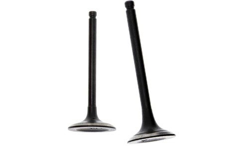 Intake Exhaust Valve For Smarter tools AP2000i Generator