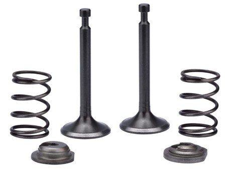 Intake Exhaust Valve Spring For PowerHorse 11000ES 11000 Watts Generator