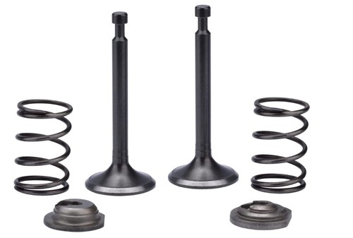 Intake Exhaust Valve Spring For Generac GP3500iO Open Frame Inverter Generator