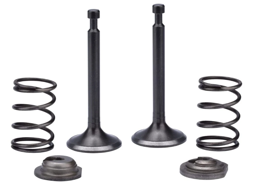 Intake Exhaust Valve Spring For Champion Inverter Generador Model# 201003